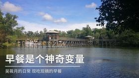 百年前一项国家性种族优化计划,时间长达六十一年,十万个孩子